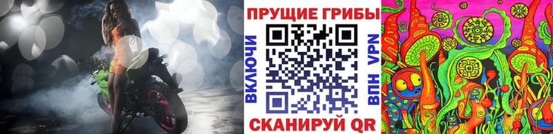 закладка  мориарти официальный сайт  KRAKEN ссылки  Галлюциногенные грибы Cubensis  Злынка 
